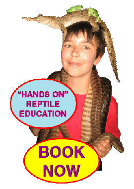 Reptile parties, Children's reptile birthday parties, Melbourne, Victoria