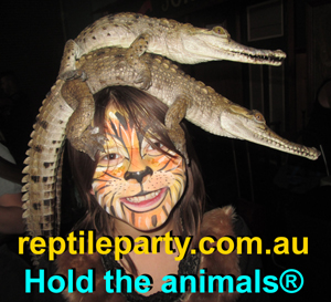 Reptile parties Melbourne