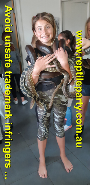 Reptile parties Melbourne