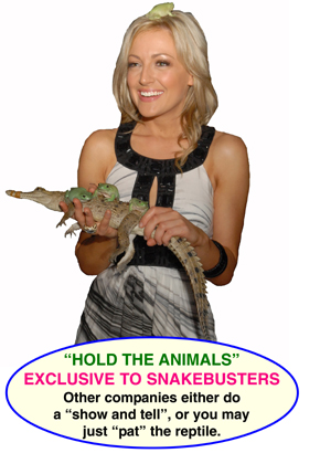 Reptile displays Melbourne