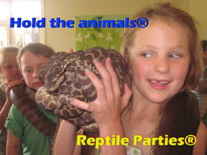 Reptile parties Melbourne